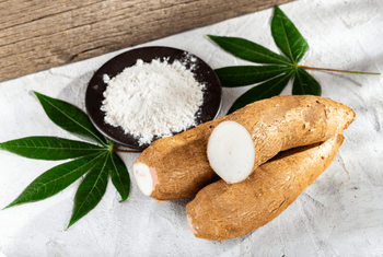 Modified Starch
