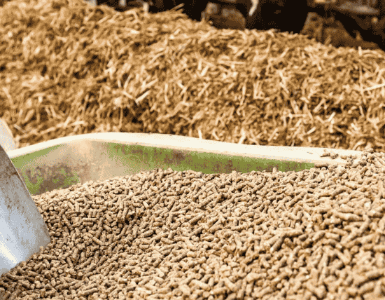 Rice Gluten