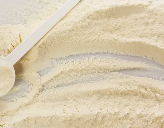 Milk Protein Concentrate 70 % & 30 %