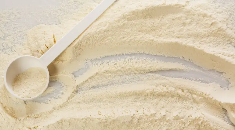 Milk Protein Concentrate 70 % & 30 %